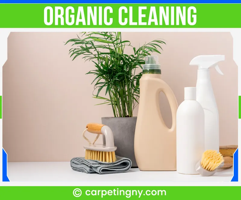 carpet cleaning in NY, carpet cleaning in new york, carpet cleaning NY, carpet cleaners in NY, carpet cleaners in new york, commercial carpet cleaning, commercial carpet cleaning in NY, NY rug cleaners, rug cleaning services in NY, same day carpet cleaning, same day rug cleaning