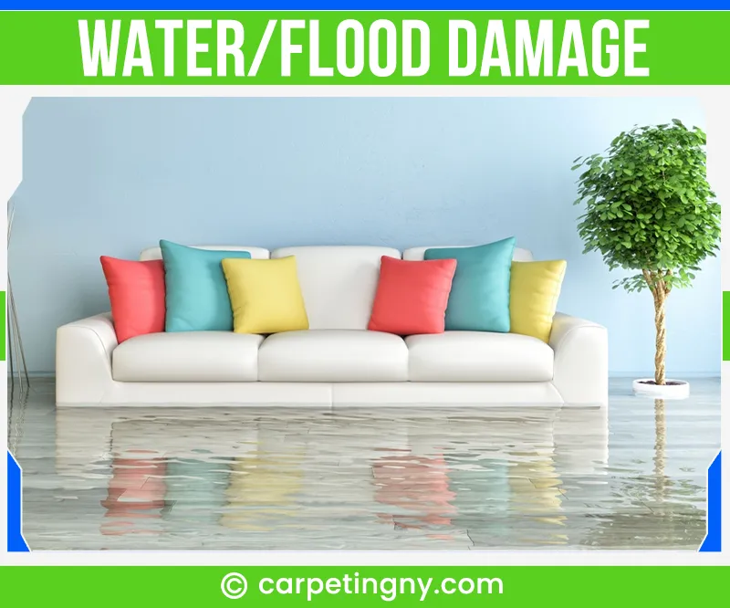 carpet cleaning in NY, carpet cleaning in new york, carpet cleaning NY, carpet cleaners in NY, carpet cleaners in new york, commercial carpet cleaning, commercial carpet cleaning in NY, NY rug cleaners, rug cleaning services in NY, same day carpet cleaning, same day rug cleaning